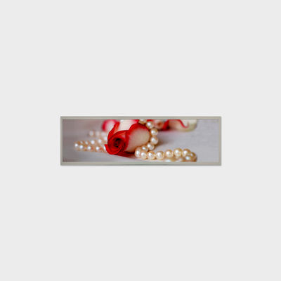 19.4 Inch Bar LCD Panel 1920*510 LVDS 1000 Nits Screen For Commercial Signage