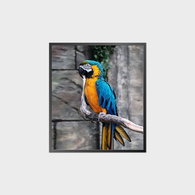 High Contrast Square LCD Panel 35.6 Inch 950*1080 500nit With Android System