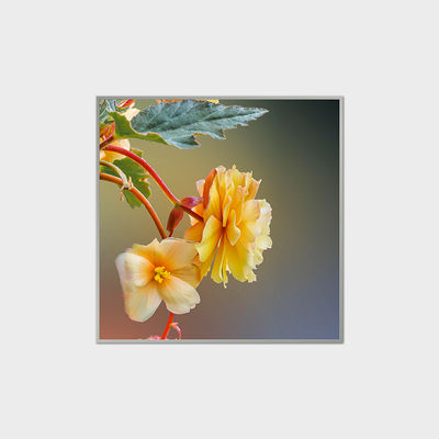 33.2 Inch Square LCD Display 420nits LVDS LCD Module For Shopping Malls